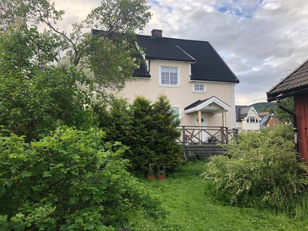 Central, Large And Light Apartment In The Middle Of The City Lillehammer Dış mekan fotoğraf